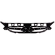 Purchase Top-Quality Grille Assembly - HY1200161PP pa1