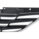 Purchase Top-Quality Grille Assembly - HY1200162 pa6