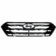 Purchase Top-Quality Grille Assembly - HY1200164 pa1