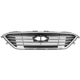 Purchase Top-Quality Grille Assembly - HY1200174 pa1