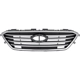 Purchase Top-Quality Grille Assembly - HY1200174 pa6