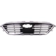 Purchase Top-Quality Grille Assembly - HY1200175 pa1