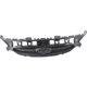Purchase Top-Quality Grille Assembly - HY1200184 pa2
