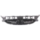 Purchase Top-Quality Grille Assembly - HY1200184 pa8