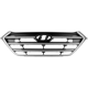 Purchase Top-Quality Grille Assembly - HY1200189 pa1