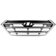 Purchase Top-Quality Grille Assembly - HY1200189 pa2