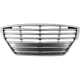 Purchase Top-Quality Grille Assembly - HY1200191 pa1