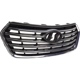 Purchase Top-Quality Grille Assembly - HY1200199 pa9