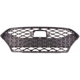 Purchase Top-Quality Grille Assembly - HY1200210 pa1