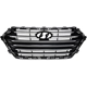 Purchase Top-Quality Grille Assembly - HY1200211 pa1