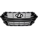 Purchase Top-Quality Grille Assembly - HY1200211 pa2