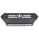 Purchase Top-Quality Grille Assembly - HY1200214 pa1