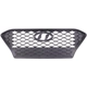 Purchase Top-Quality Grille Assembly - HY1200215C pa1