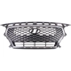 Purchase Top-Quality Grille Assembly - HY1200224C pa1