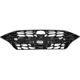 Purchase Top-Quality Grille Assembly - HY1200230 pa1