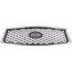 Purchase Top-Quality Grille Assembly - IN1200137C pa1