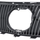 Purchase Top-Quality Grille Assembly - LX1200169OE pa5