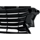Purchase Top-Quality Grille Assembly - LX1200180C pa13