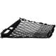 Purchase Top-Quality Grille Assembly - LX1200187 pa6