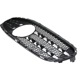 Purchase Top-Quality Grille Assembly - MB1200163C pa9