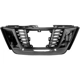 Purchase Top-Quality Grille Assembly - NI1200282 pa2