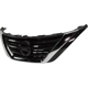 Purchase Top-Quality Grille Assembly - NI1200283 pa8