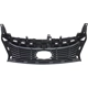 Purchase Top-Quality Grille Assembly by SHERMAN PARTS - 3313-99Q-0 pa4