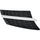 Purchase Top-Quality Grille Assembly by SHERMAN PARTS - 8120B-99Q-2 pa4