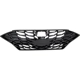 Purchase Top-Quality SHERMAN PARTS - HYSONA20-99-0 - Grille pa2