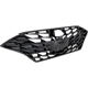Purchase Top-Quality SHERMAN PARTS - HYSONA20-99-0 - Grille pa4