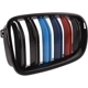 Purchase Top-Quality Grille Assembly - BM1200247 pa2