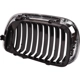 Purchase Top-Quality Grille Assembly - BM1200247 pa5