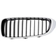 Purchase Top-Quality Grille Assembly - BM1200260 pa1