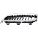 Purchase Top-Quality Grille Assembly - BM1200260 pa4