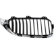 Purchase Top-Quality Grille Assembly - BM1200260 pa5
