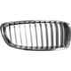 Purchase Top-Quality Grille Assembly - BM1200265 pa3