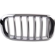 Purchase Top-Quality Grille Assembly - BM1200271 pa1