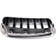 Purchase Top-Quality Grille Assembly - BM1200271 pa3