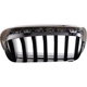 Purchase Top-Quality Grille Assembly - BM1200271 pa5