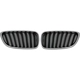 Purchase Top-Quality Grille Assembly - BM1200273 pa1