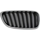 Purchase Top-Quality Grille Assembly - BM1200273 pa3