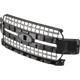 Purchase Top-Quality Grille Assembly - FO1200652C pa4