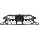 Purchase Top-Quality Grille Assembly - HO1200254 pa2