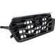 Purchase Top-Quality Grille Assembly - HO1200259 pa5