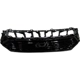 Purchase Top-Quality Grille Assembly - HO1200261 pa1