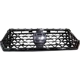 Purchase Top-Quality Grille Assembly - HO1200261 pa3