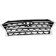 Purchase Top-Quality Grille Assembly - HY1200234C pa1