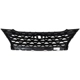 Purchase Top-Quality Grille Assembly - HY1200234C pa5