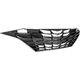 Purchase Top-Quality Grille Assembly - HY1200235 pa1
