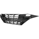 Purchase Top-Quality Grille Assembly - HY1200235 pa2